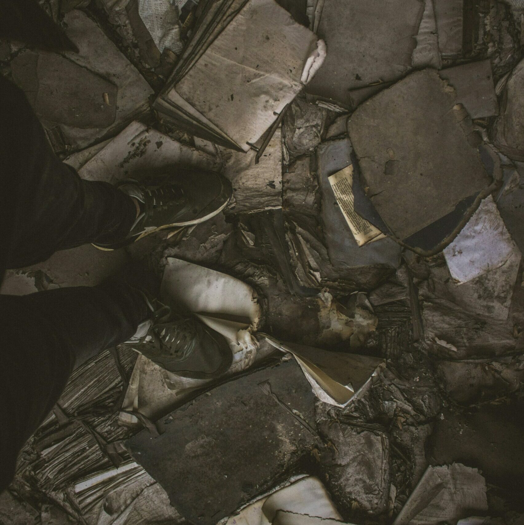 cropped-Image-ZE-4.jpg